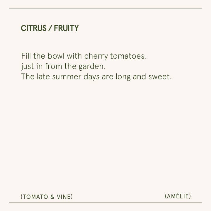 La Jolie Muse - Wholesale Jar/Filled Candle - Scented Candle - Tomato & Vine - 11oz | La Jolie Muse6