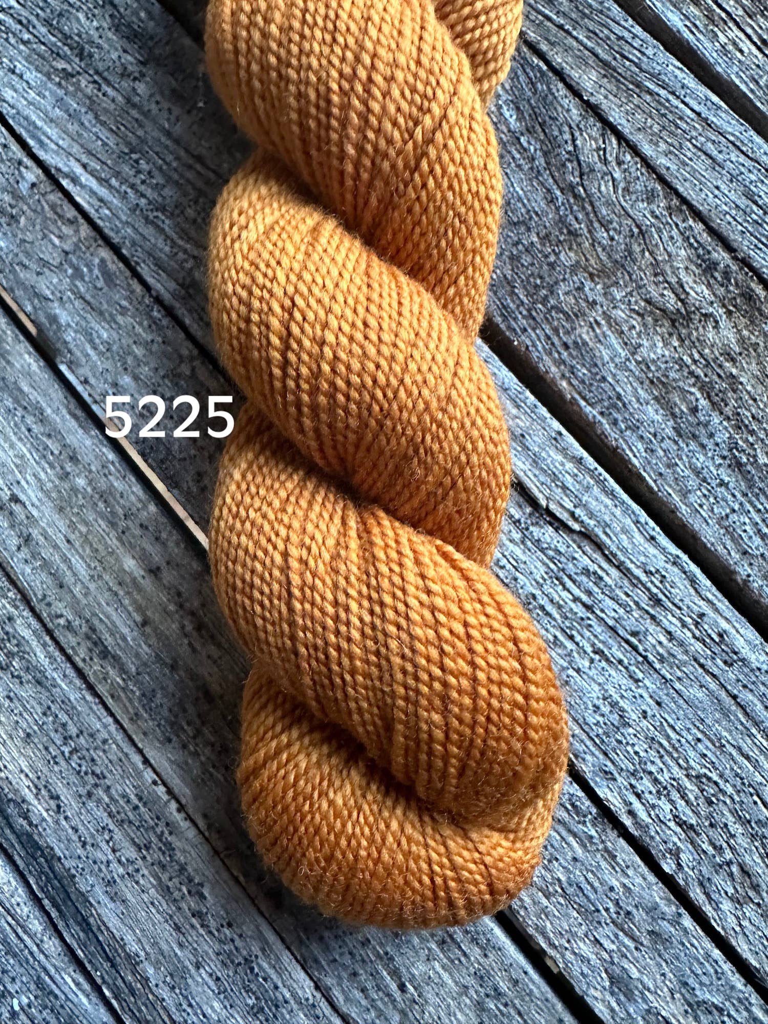 Koigu Wool Designs – Großhandel Garn – KPM (Halbton) Part 1 Fingering (5 Stränge pro Beutel)26