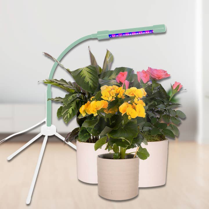 Plant Booster Grow Light - Houseplant Gift and other Purchase wholesale garden bulkhead lights. Free returns & net 60 terms on Faire trending on Faire.