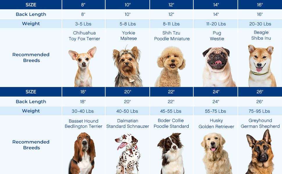 Blueberry Pet - Wholesale Hondentrui - Hond - Op maat gebreide en geverfde zachte en gezellige Fair Isle hondentrui24