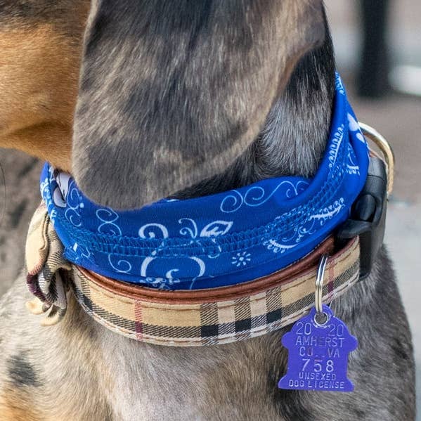 Blå Bandana Pup Scruff for engroshandel hos Pup Scruffs