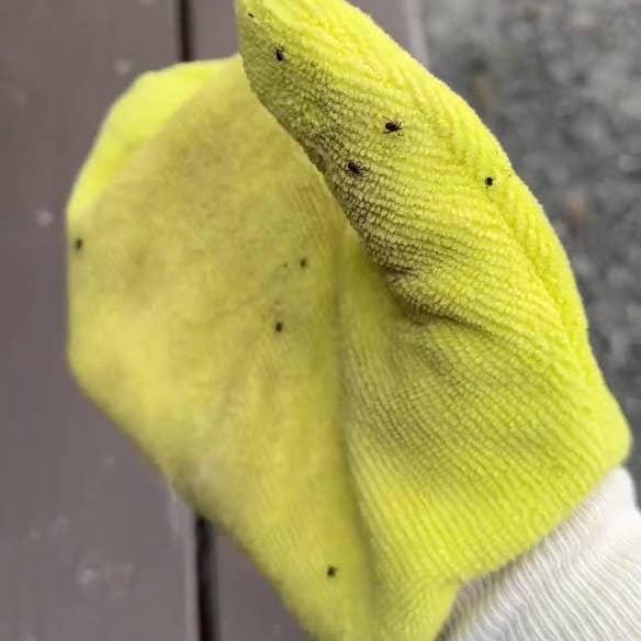 Zeckenentferner für Hunde, Kinder und Outdoor-Liebhaber und andere Ergebnisse für schädlingsbekämpfungsmittel im Großhandel. Kostenlose Rücksendungen und 60-Tage-Zahlungsziel auf Faire im Trend auf Faire.