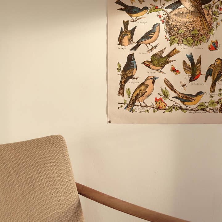 Aster Edition - Vente Toile - Toile : Nos Bons Petits Oiseaux