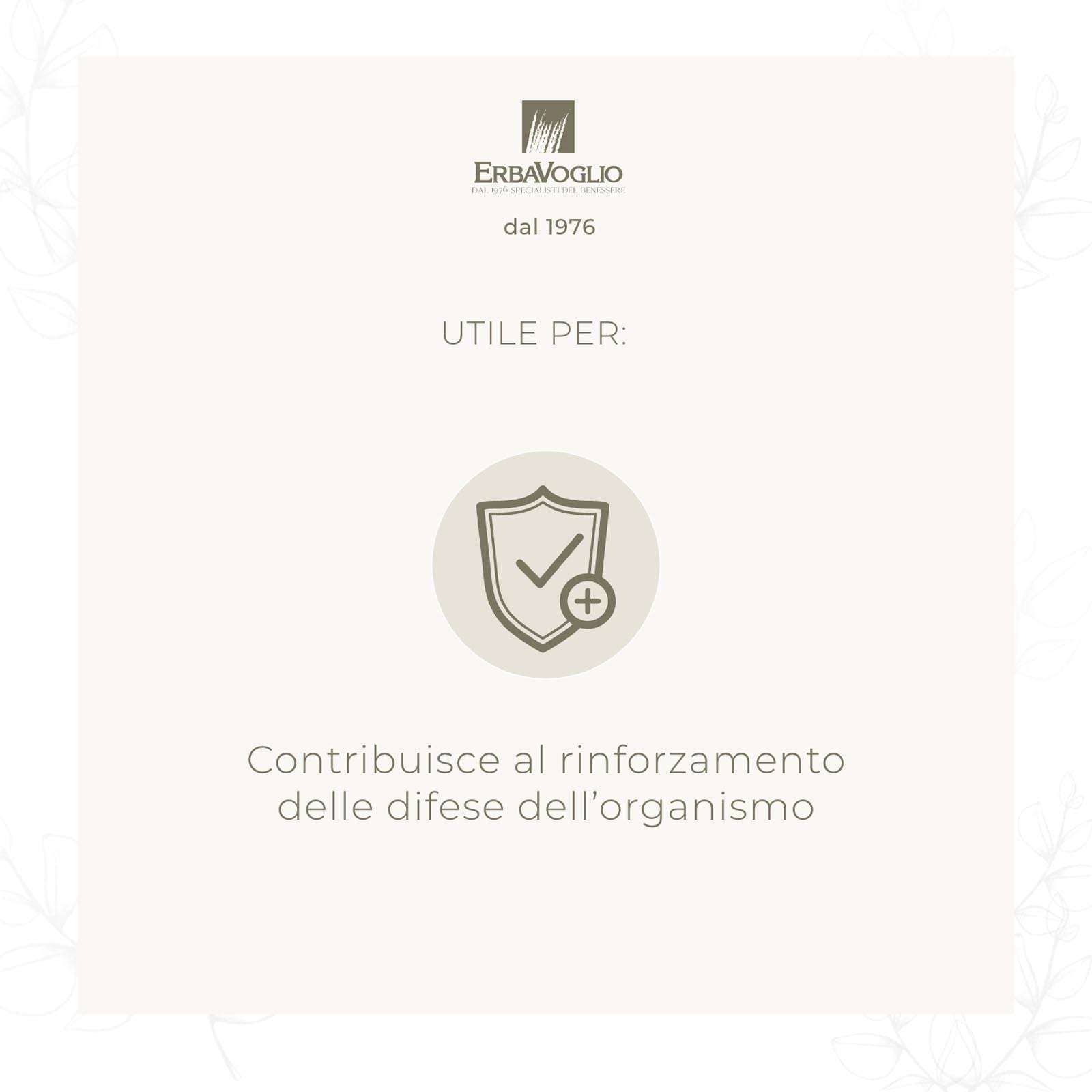 Erbavoglio - Wholesale Oral Supplement/Vitamin - Organic Maitaké capsules1