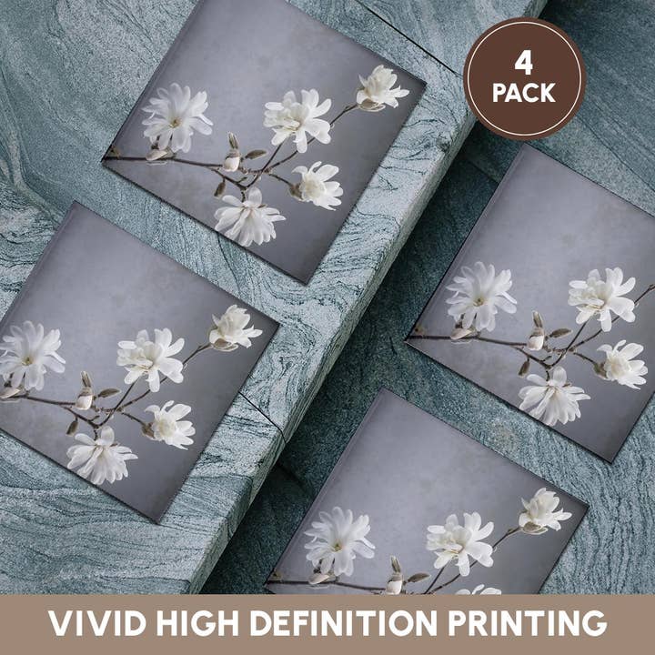 3dRose - Wholesale Coasters - 3dRose, USA, WA, Seabeck. White magnolia flowers and branches. , Coaster5