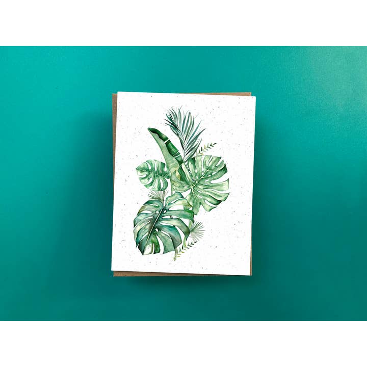 Monstera for wholesale by Thanks a Ton