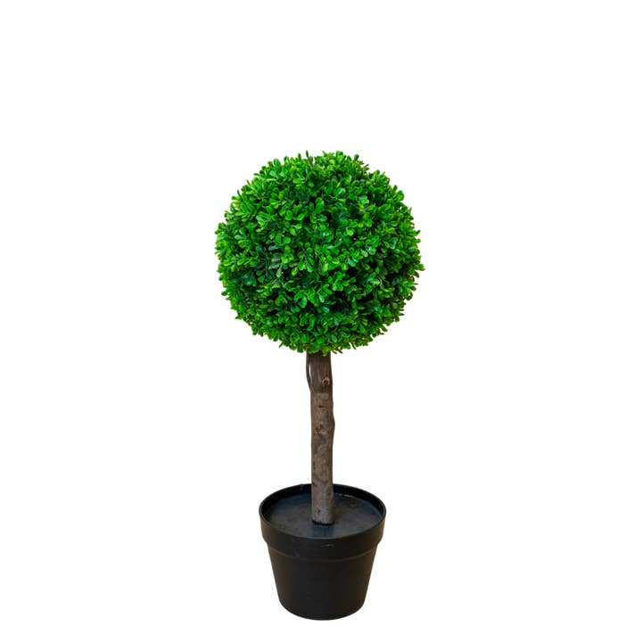 PTT122 Buis Topiaire Simple 2' PK 2 pour la vente par Myrians Home Decor