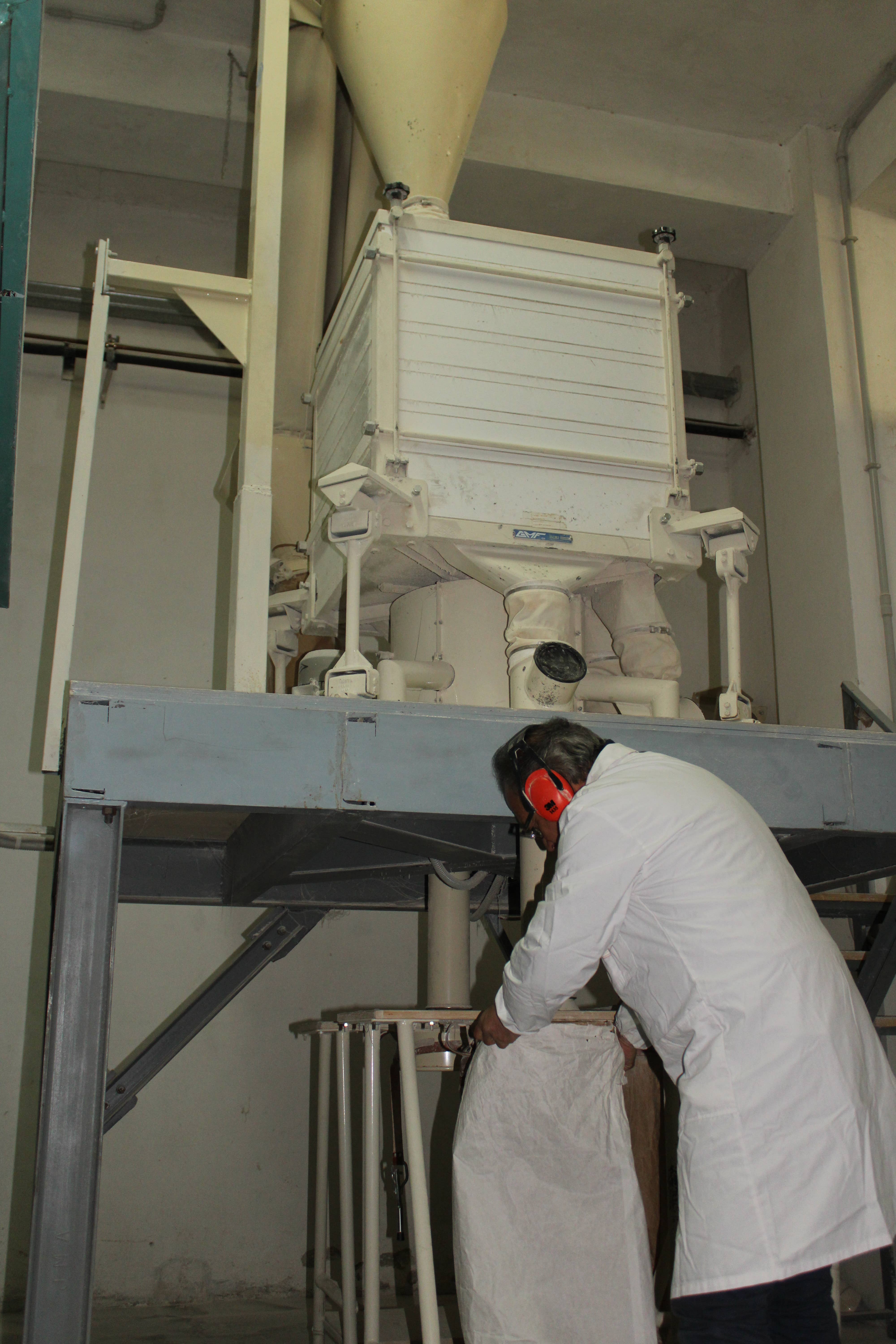 Alpa - Vendita all'ingrosso Farine - Farina di castagna Bio2