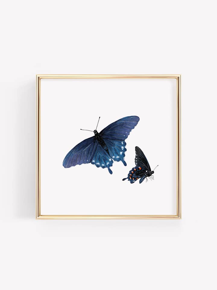 Kunstdruk met zwaluwstaart en vlinder van Pipevine voor wholesale door Tara Feather Designs