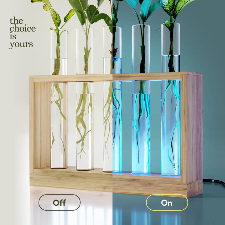 Planter's Choice - Wholesale Live Plant - Light Up Bamboo Vial Air Planter1
