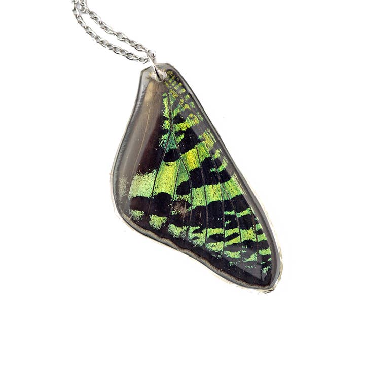 Sunset Moth Voorvleugel ketting voor wholesale door The Pretty Pickle