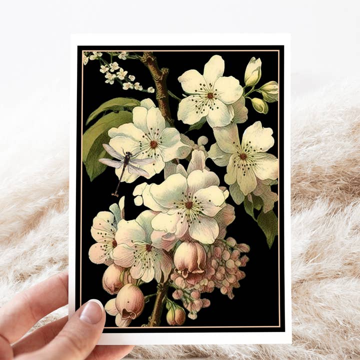 Greeting Card. Dramatic Cherry Blossoms. Dark Background. for wholesale by Cheerful Whimsies