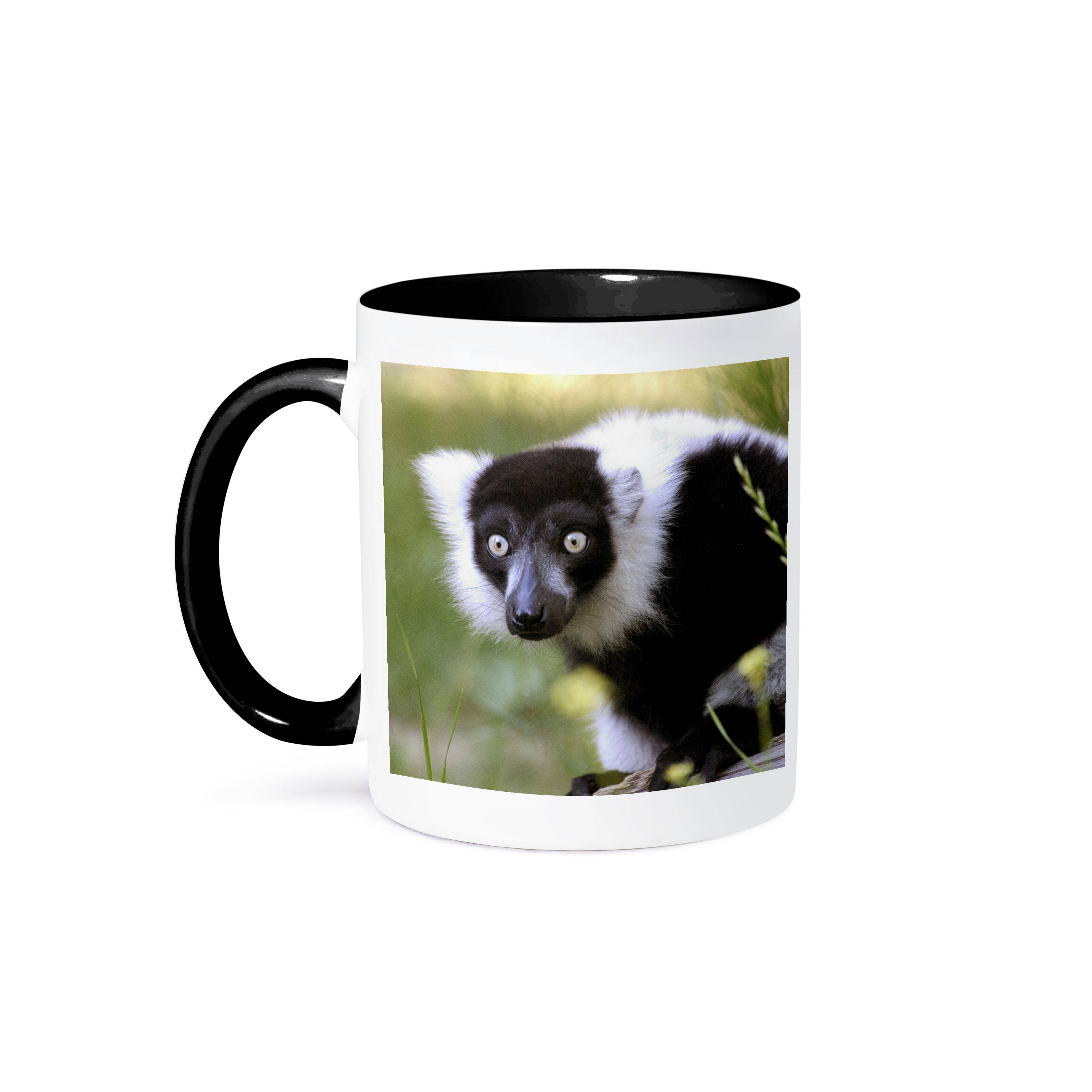 3dRose - Wholesale Koffiemok - 3dRose, Maki in de Sacramento Zoo, Californië - US05 TAU0066 - Tananarive Aubert, Mok.0