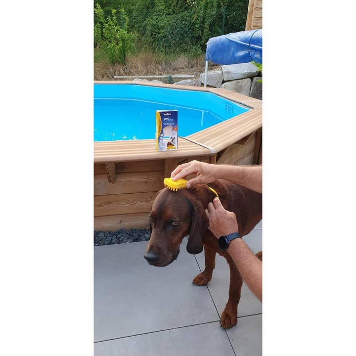 UKAL GREEN - Wholesale Pet Brush - Cat/Dog - PETME universal brush for large dogs with short hair5