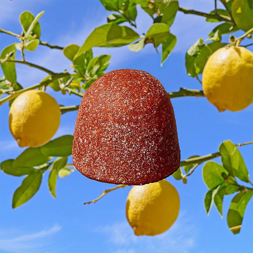 kencko - Wholesale Fruit Snacks - Bananarama Organic Natural Fruit Snacks (5-pack)6