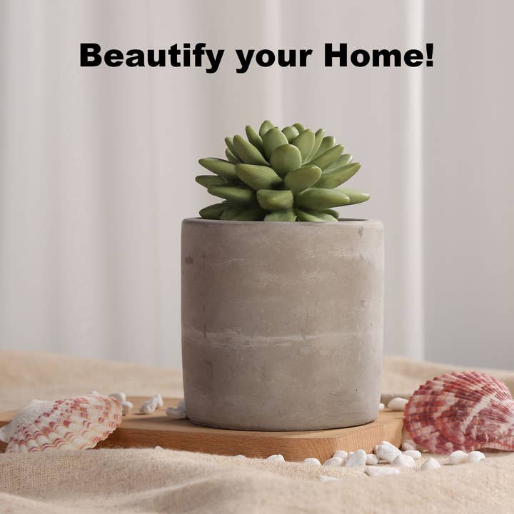 Pretty Valley Home - Wholesale Diffuser fragrance refill - Reed Diffuser Set Gypsum Succulent 3.38 FL OZ (100 ml)-SOC4