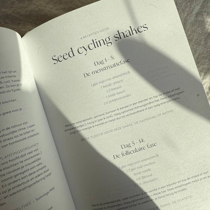 Rock Your World - Wholesale Journal/Diary - The Selfcare Journal 20264