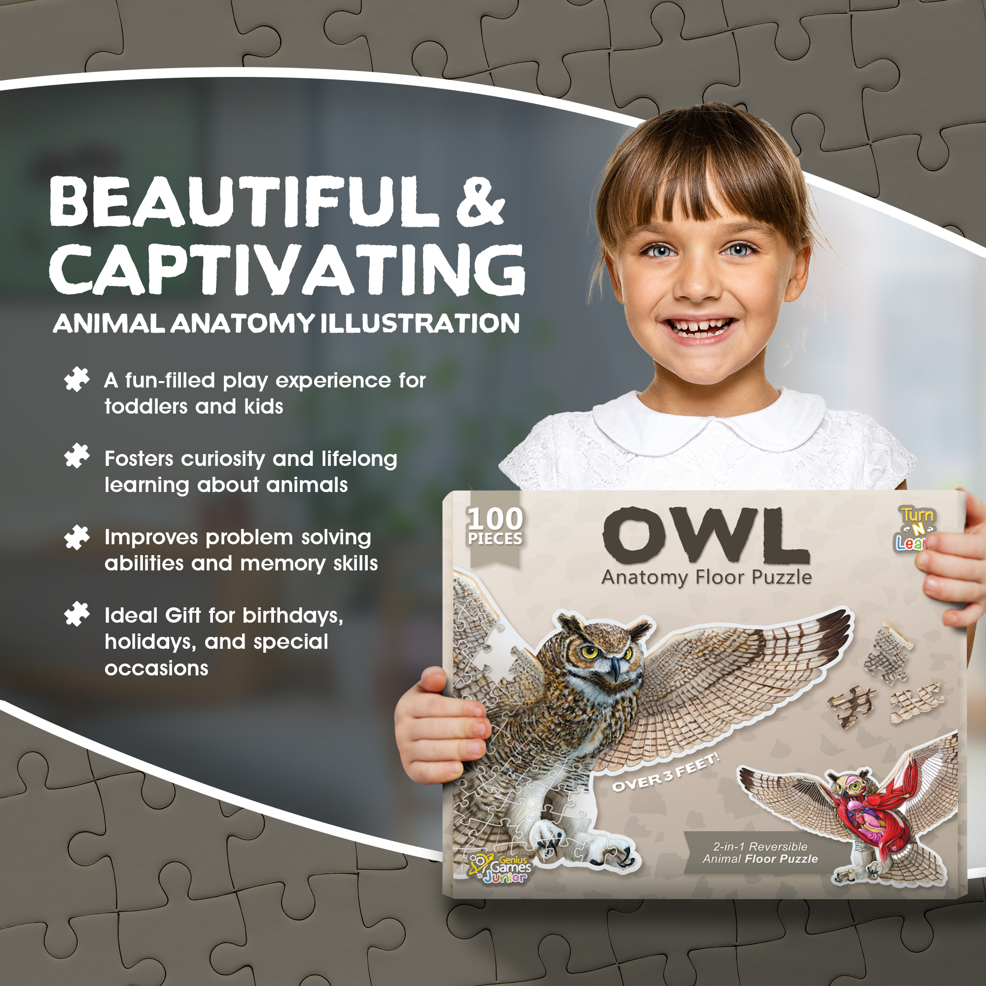 Genius Games - Wholesale Puzzle - Kids - Turn N Learn: Owl Puzzle4