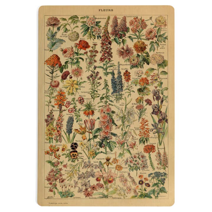 Lantern Press - Wholesale Postcard - WOOD POSTCARD Assorted Flowers, E, Vintage Bookplate