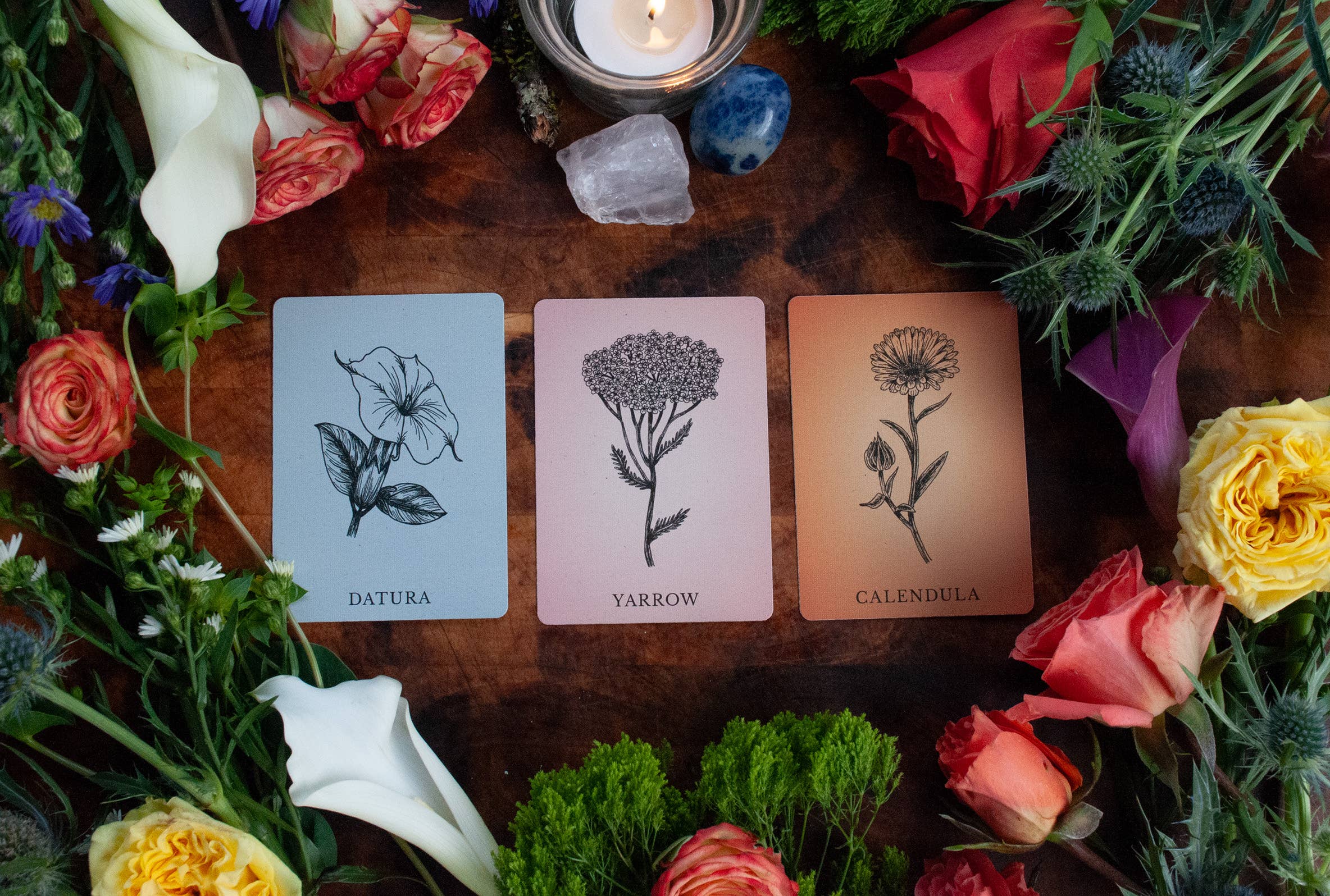 Velvetback - Wholesale Tarot Cards - 2.5" x 3.5" 60-Card Botanical Poetry Oracle Deck7