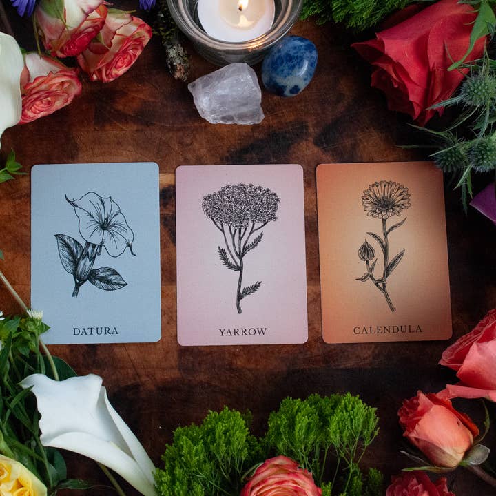 Velvetback - Wholesale Tarot Cards - 2.5" x 3.5" 60-Card Botanical Poetry Oracle Deck7
