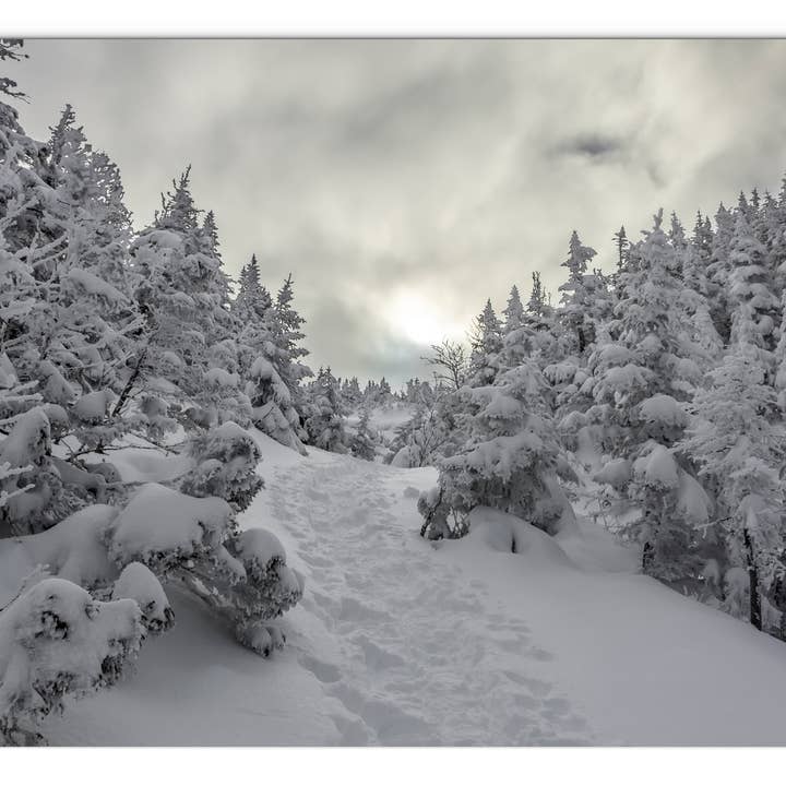 Panneau de verre Winter on the Ammo Trail par Chris Whiton pour la vente par American Brand Studio