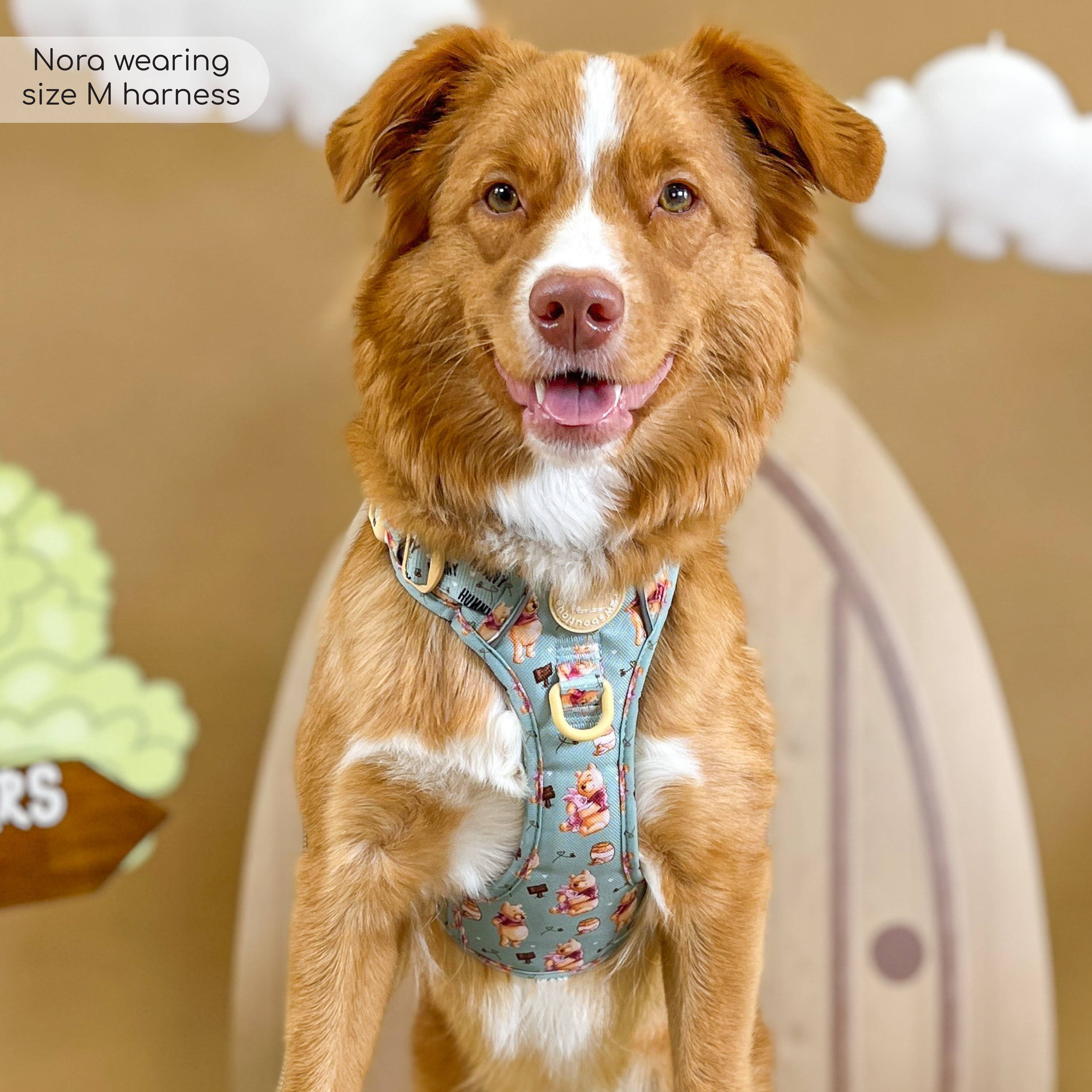 Pawsome Paws – Großhandel Haustiergeschirr – Hund – Disney© Tough Trails™ Geschirr – Winnie Puuh10