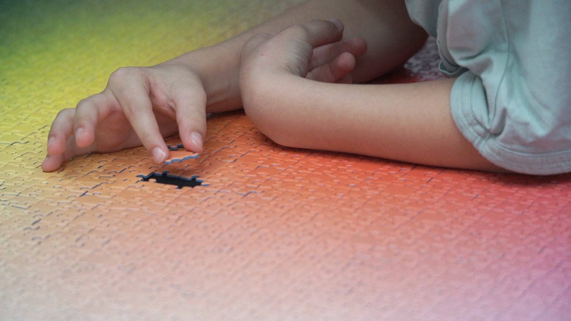 The Play Group - Wholesale Puzzle - Adult - 5000 Colours5