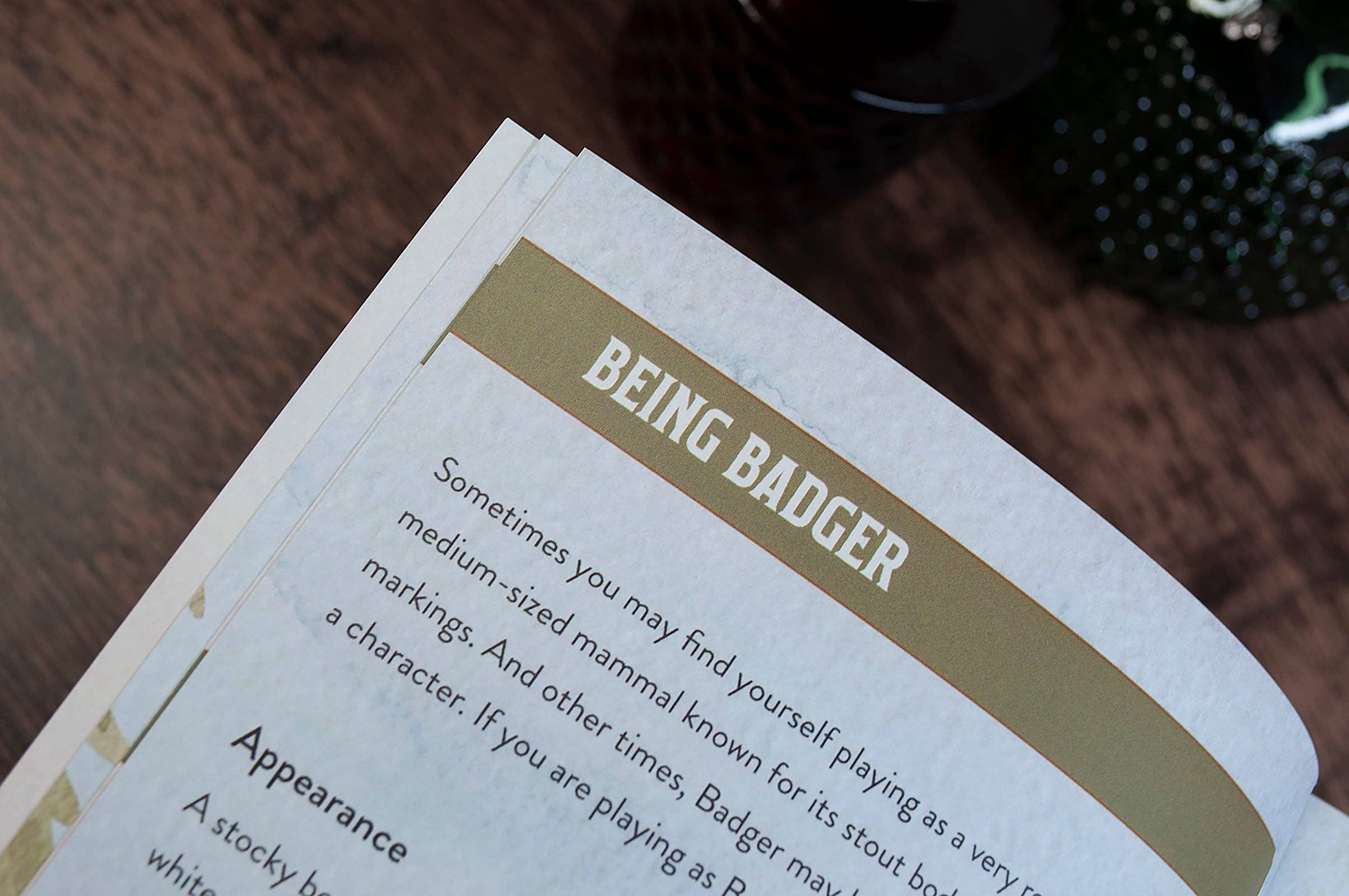 Pandion Games - Wholesale Board Game - Badger + Coyote8