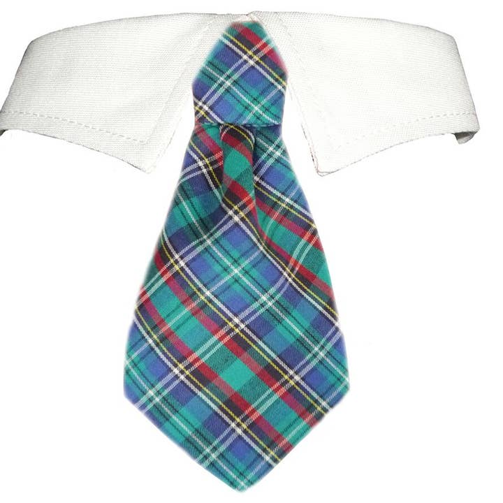 Eli Shirt Collar for wholesale by Pooch Outfitters