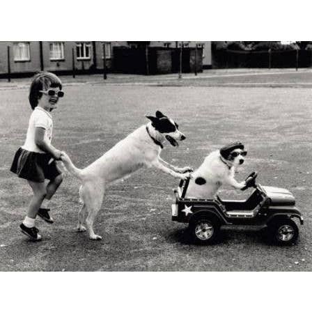 Fille et chiens pour la vente par Retrospect Greeting Cards