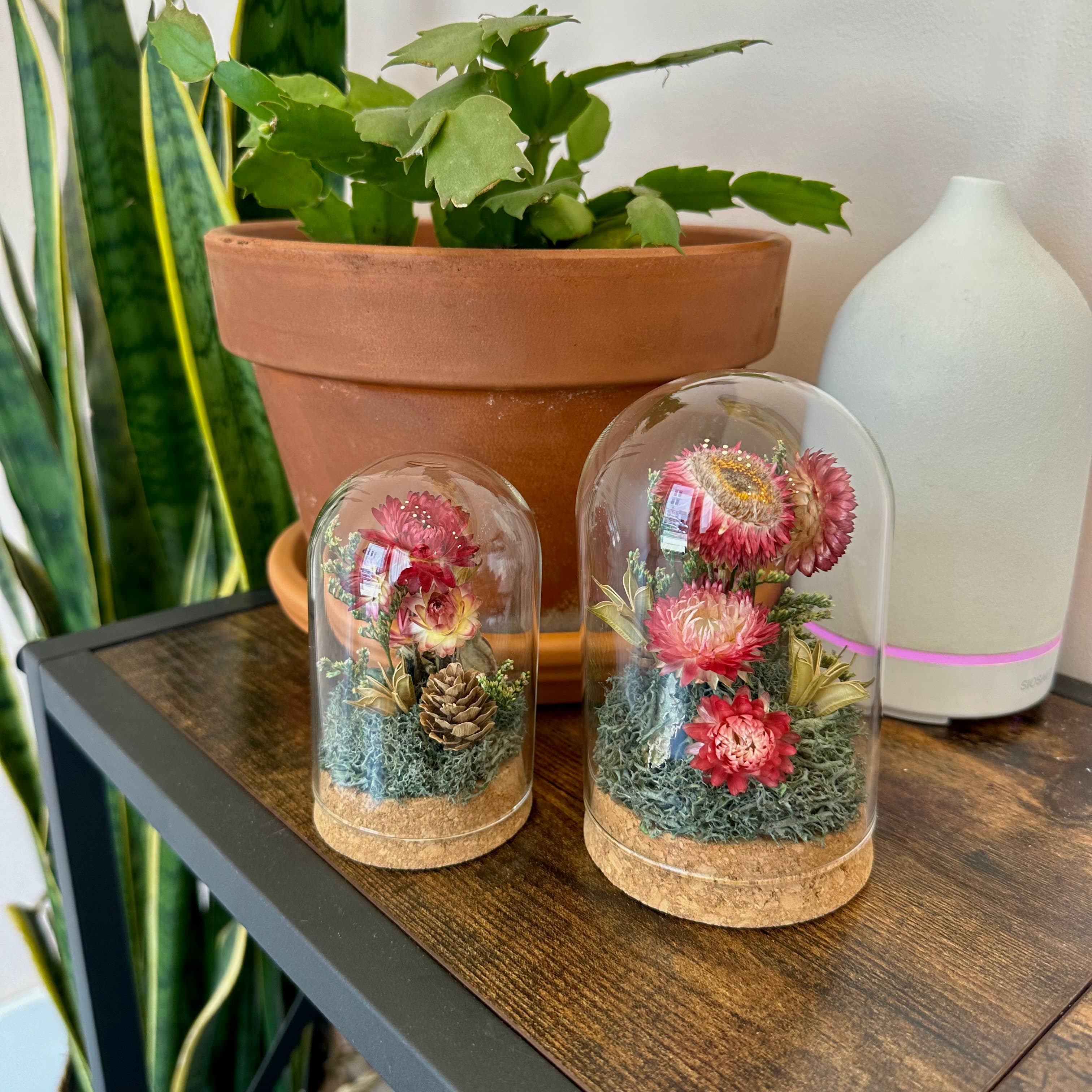 CA Studios - Wholesale Terrarium - Large Botanical Glass Terrarium Jar w. Pink Dried Florals4