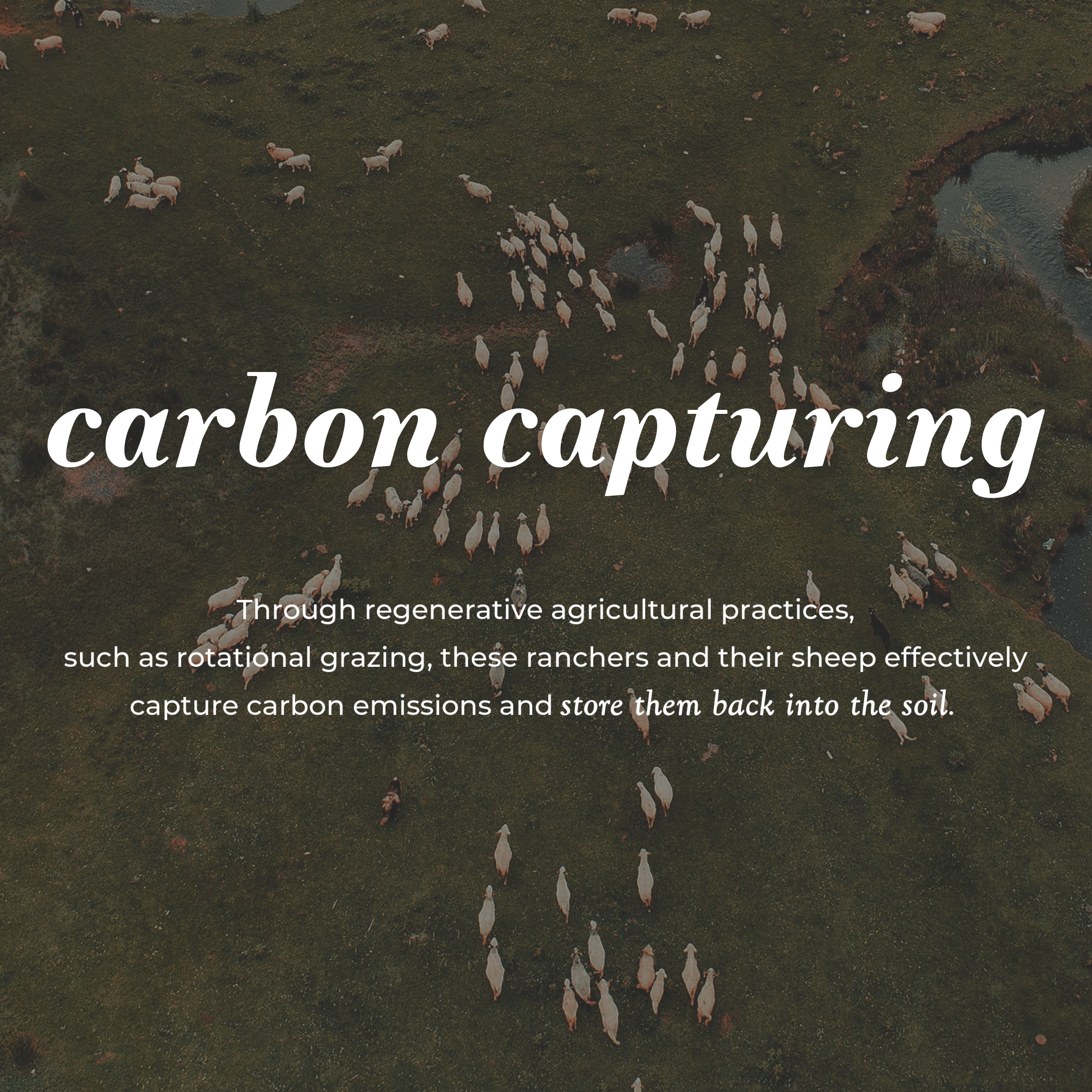 Rustic Strength - Wholesale Dryer Balls - Jumbo Sheep Wool Dryer Balls4