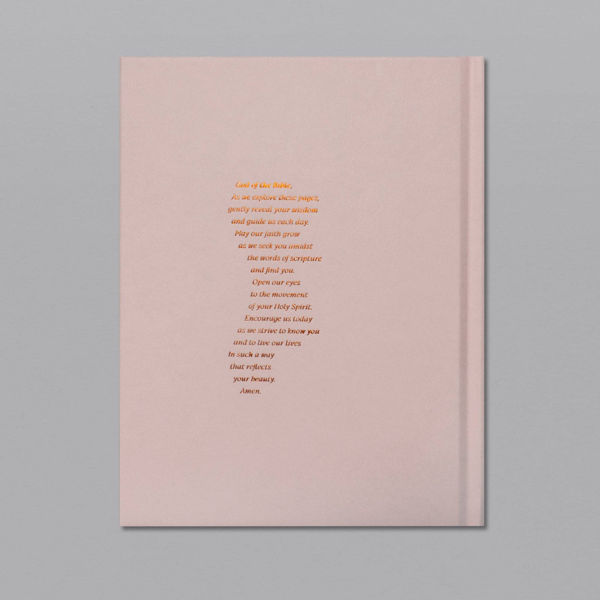 Alabaster Co - Wholesale Religion Book - A Beautiful Year in the Bible: The 52-Week Bible Study for Women10