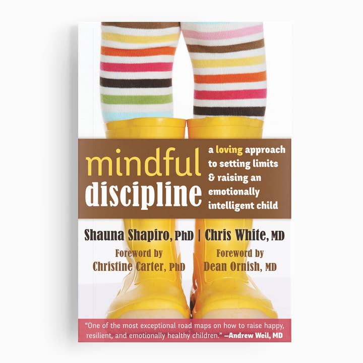 Mindful Discipline for wholesale by New Harbinger Publications