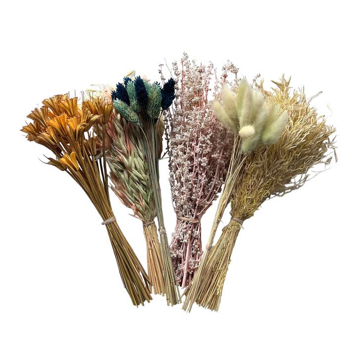 Blue Ocean Traders - Wholesale Dried/Pressed Flowers - Mixed Dried Grasses and Florals Multicolor, 12"