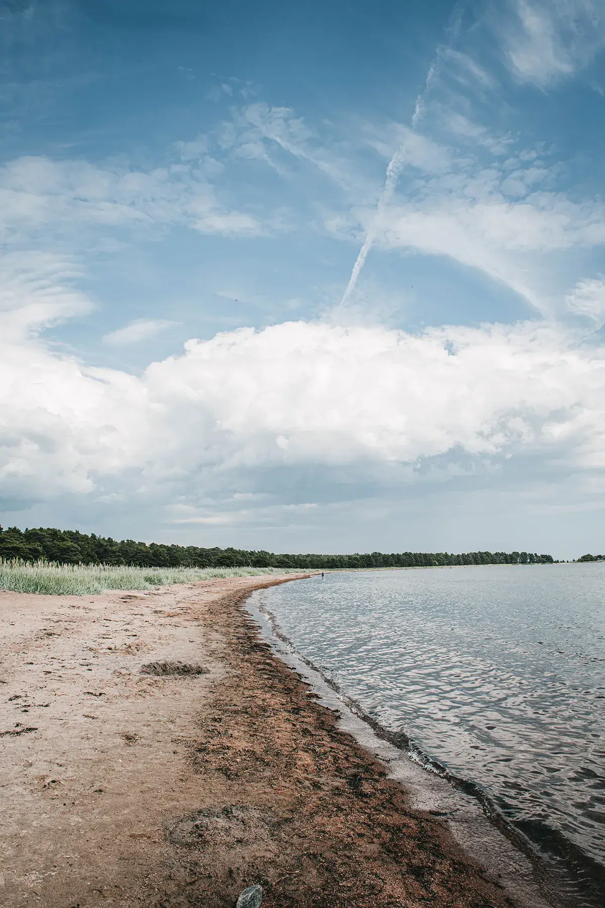 Cozy Publishing - Venta al por mayor Libro de hogar y jardín - Homemade - Secretos para Interiores Atemporales14