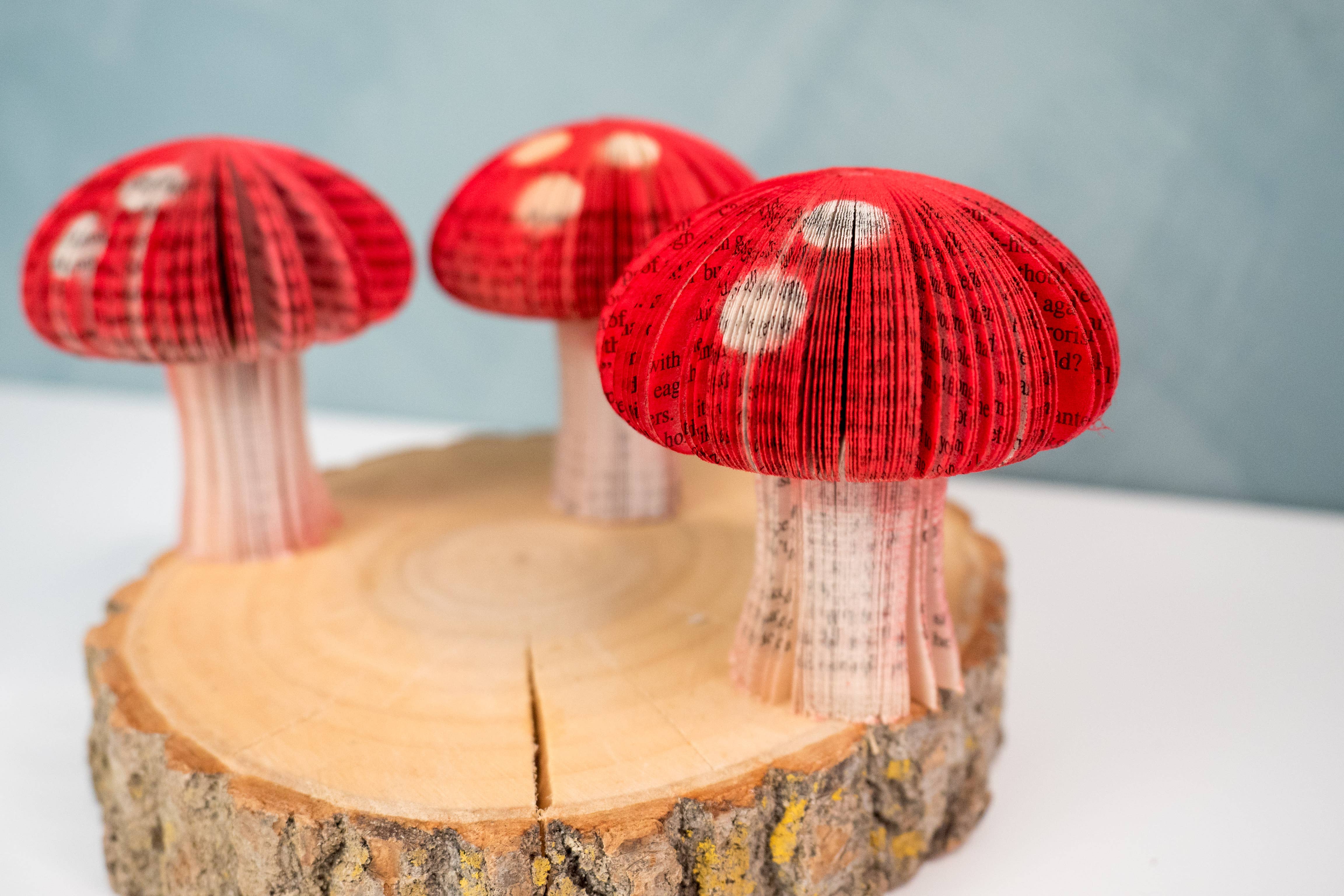 Root To Vine - Vente Décorations de table - Mini-livre, champignons, décoration automnale, décoration d'Halloween3