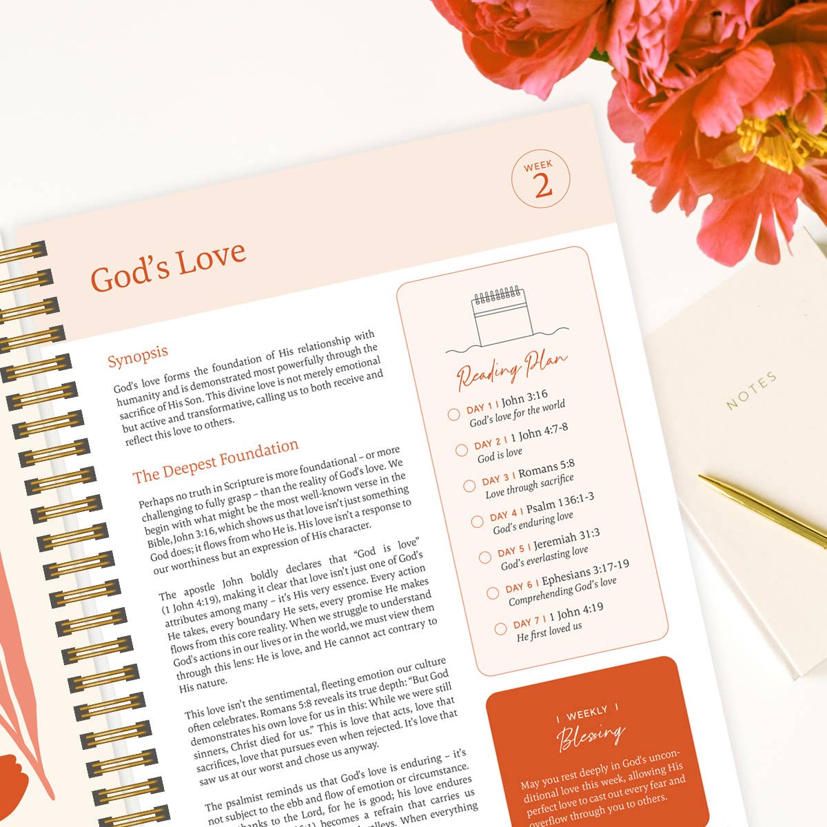 Spiral Bible - Vente Livre sur la religion - La Bible en un an : étude spirituelle sur 52 semaines3