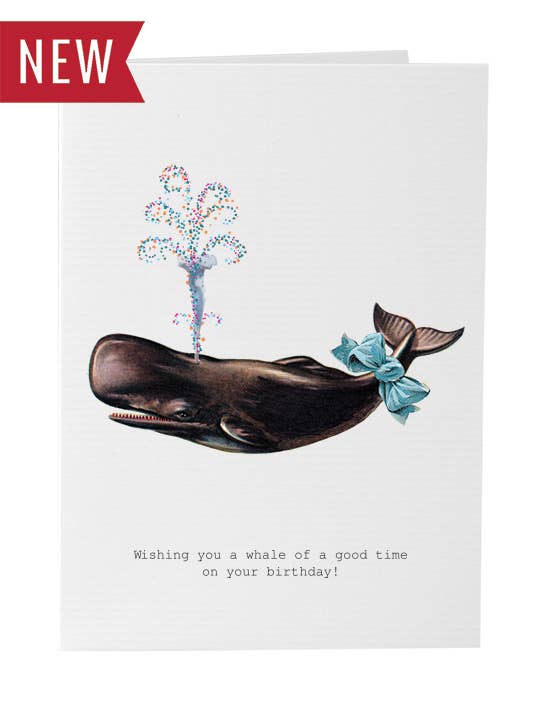 Whale of a Good Time Greeting Card for wholesale by TokyoMilk