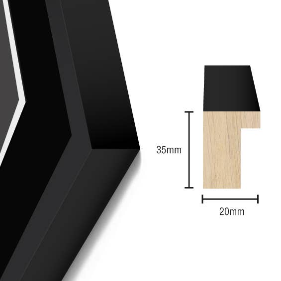 My name is Sander Dekker - Wholesale Art Print - Limited Edition: Lunar Lunacy framed photography art2