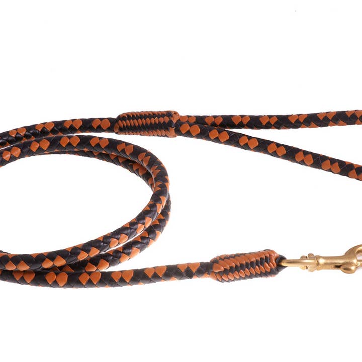 Alvalley - Wholesale Pet Leash - Dog - Braided Leather Snap Leads65
