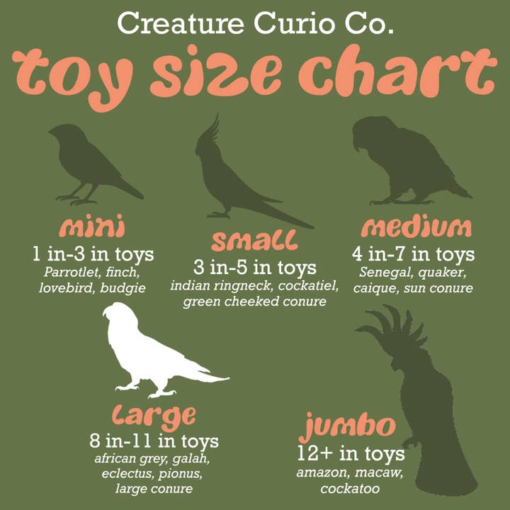 Creature Curio Co. - Wholesale Pet Toy - Cat/Dog - Maui Toy3
