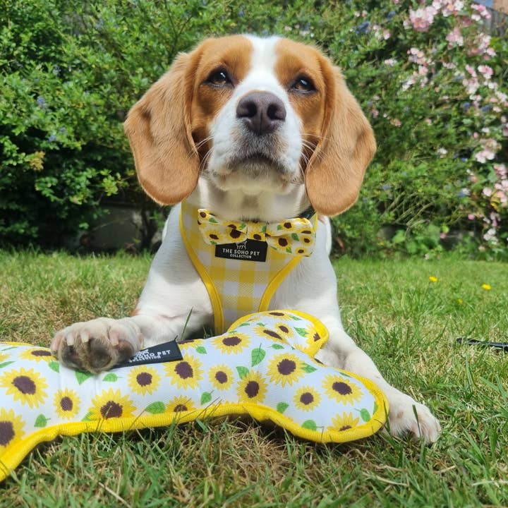 Sunflower / Yellow Check pattern Reversible Plush Bone Toy for wholesale by Ancol Pet Products Ltd