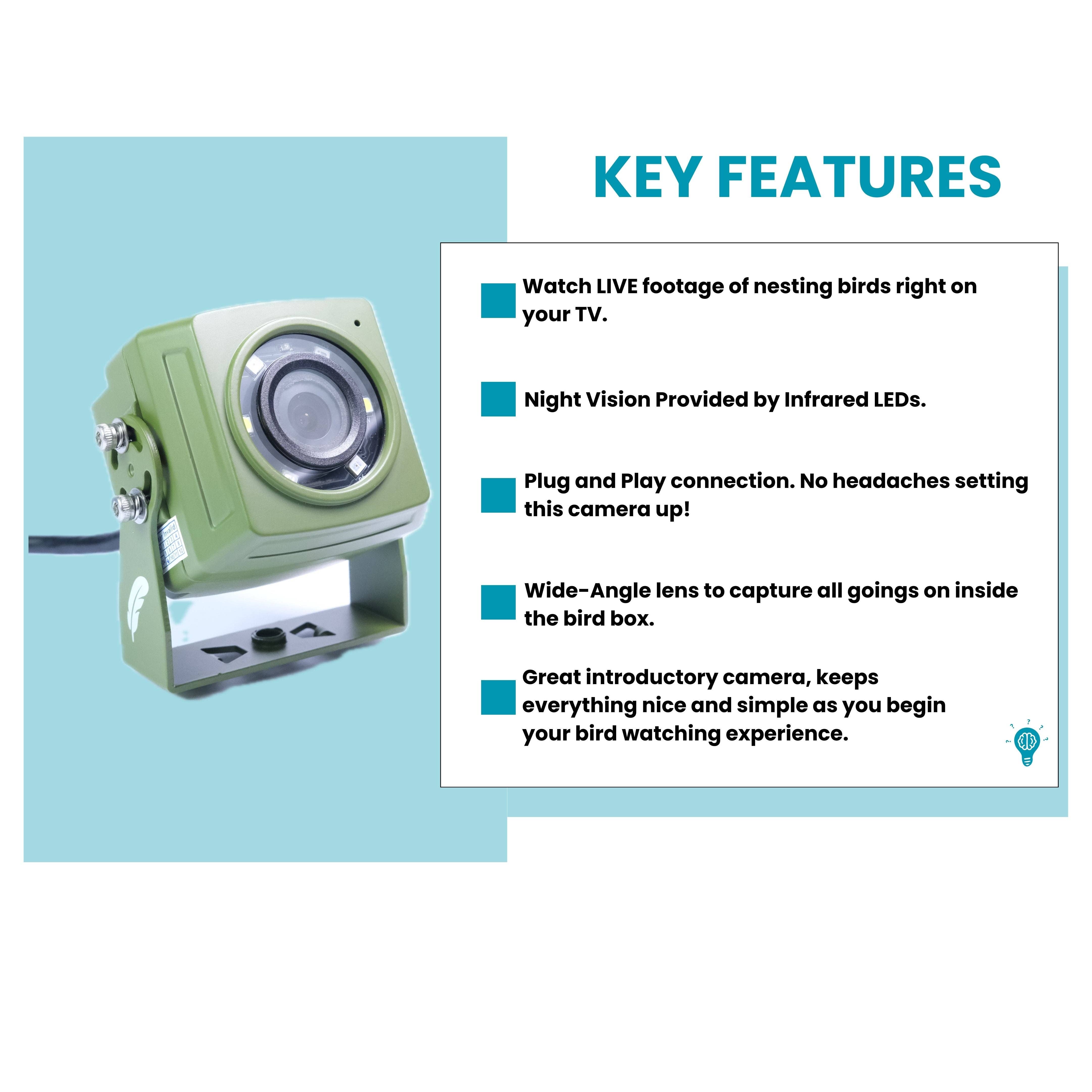 Green Feathers - Vendita all'ingrosso Casette per uccelli - Bird Box e telecamera per animali selvatici con connessione via cavo HD (solo fotocamera)3