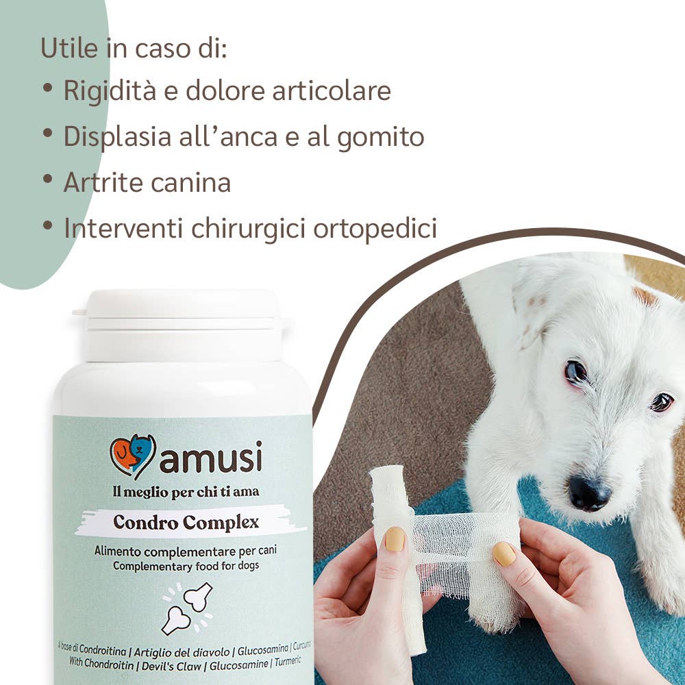 Pettech S.r.l. - Vendita all'ingrosso Integratore per animali domestici - Cani - Supplemento alimentare per le articolazioni del cane2