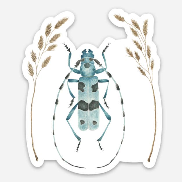 Adhesivo escarabajo alpino longhorn para venta al por mayor de Jess Vartanian Illustration & Design