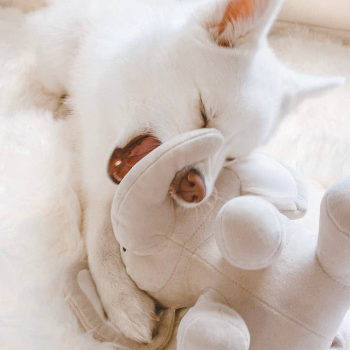 Fur Elise Pets - Wholesale Pet Plush Toy - Dog - Ella Plushie11