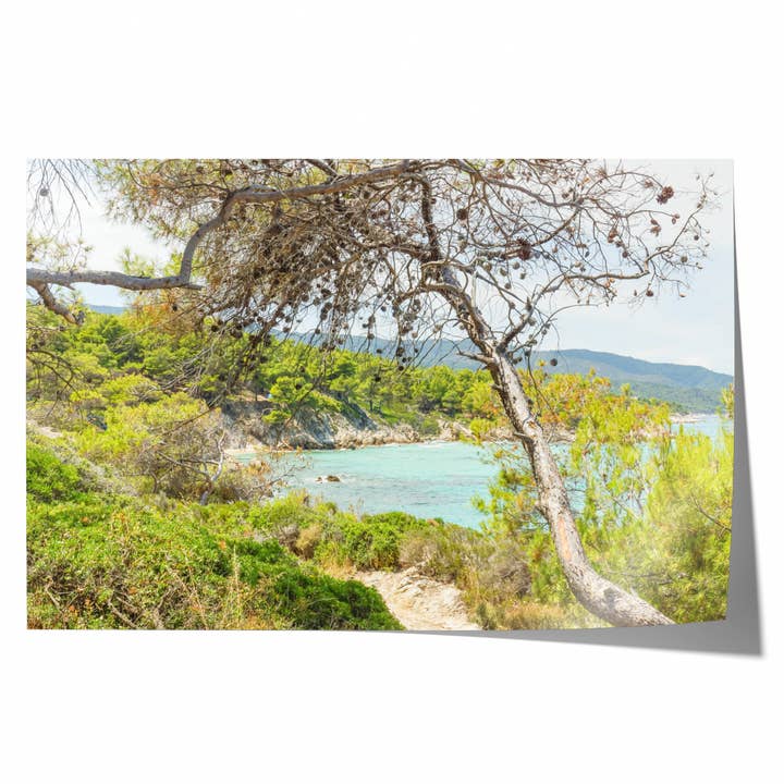 Kusttall VI | Konstfotografiutskrift för wholesale av Natasha Riha Photography