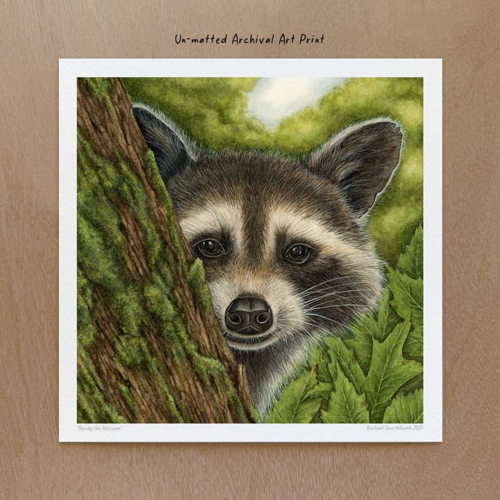 Raccoon Art Print for wholesale by Rachael Bee Artwork